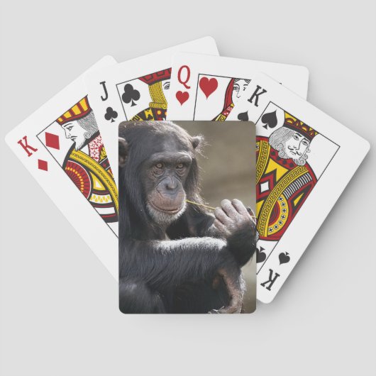 Denken Sie an das Monkeying Spielkarten (Rückseite)