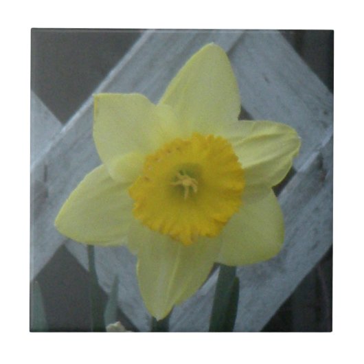 Denken Sie an den Frühling! Fliese (Vorderseite)