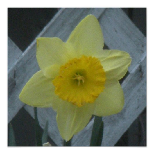Denken Sie an den Frühling! Poster (Vorderseite)