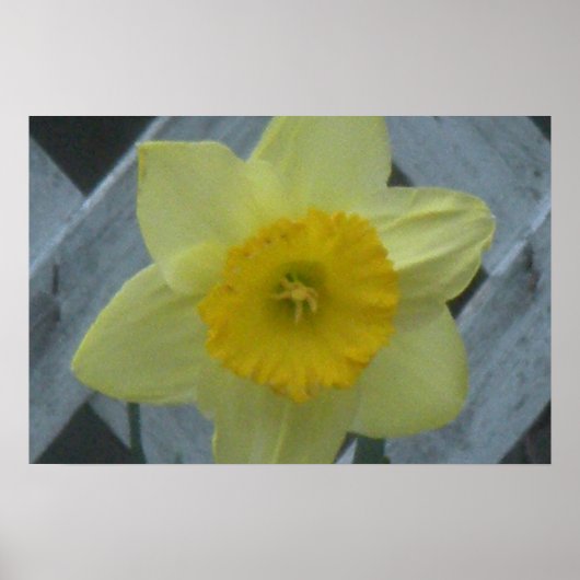 Denken Sie an den Frühling! Poster (Vorne)