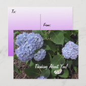 Denken Sie an den Hibiskus Purple Flowers Postkarte (Vorne/Hinten)