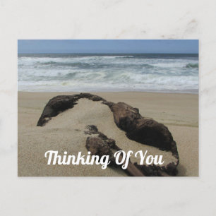Denken Sie an den Strand von Sand Driftwood. Postkarte