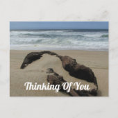 Denken Sie an den Strand von Sand Driftwood. Postkarte (Vorderseite)