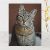 DENKEN SIE AN DIE HANDSOME TABBY CAT GREETING CARD KARTE (Gelbe Blume)