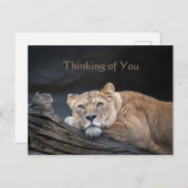 Denken Sie an die Postkarte für Bilder (Vorne/Hinten)