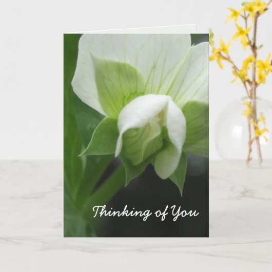 Denken Sie an die Vorlage Ihrer Karte, anpassbar (Gelbe Blume)