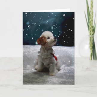 Denken Sie an diese Weihnachtssaison geklappte Kar Feiertagskarte