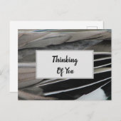 Denken Sie an Duck Feather Foto Moderne Postkarte (Vorne/Hinten)