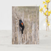 Denken Sie an einen roten Gürtelrose auf trockenem Karte (Gelbe Blume)