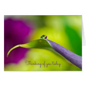 Denken Sie an einen Taumel (Vorderseite (Horizontal))