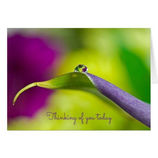 Denken Sie an einen Taumel (Vorderseite (Horizontal))