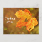 Denken Sie an Fall Postkarte (Vorderseite)