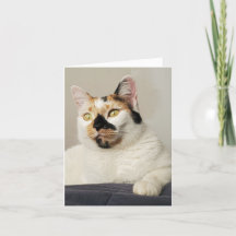 Denken Sie an Foto Gruß