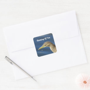 Denken Sie an Freunde von Brawn Bird in großer Ent Quadratischer Aufkleber