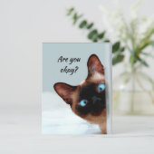 Denken Sie an Funny Cat Lass Me weiß, dass es Ihne Postkarte (Stehend Vorderseite)