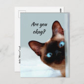 Denken Sie an Funny Cat Lass Me weiß, dass es Ihne Postkarte (Vorne/Hinten)