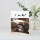 Denken Sie an Funny Cat Lass Me weiß, dass es Ihne Postkarte (Stehend Vorderseite)