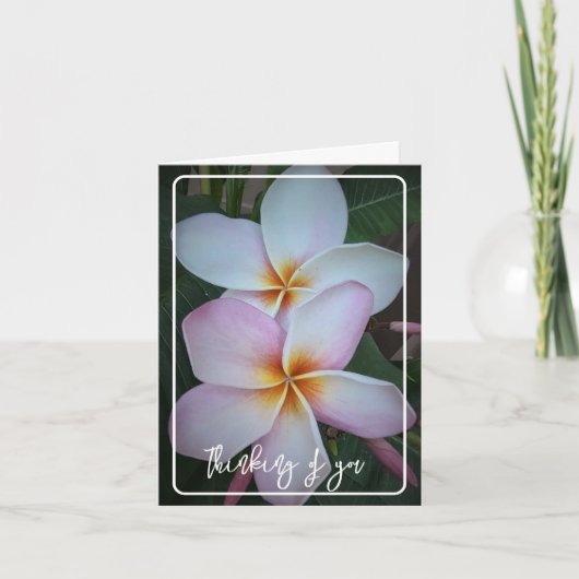 Denken Sie an Halo Plumeria Faltkarte Karte (Vorderseite)