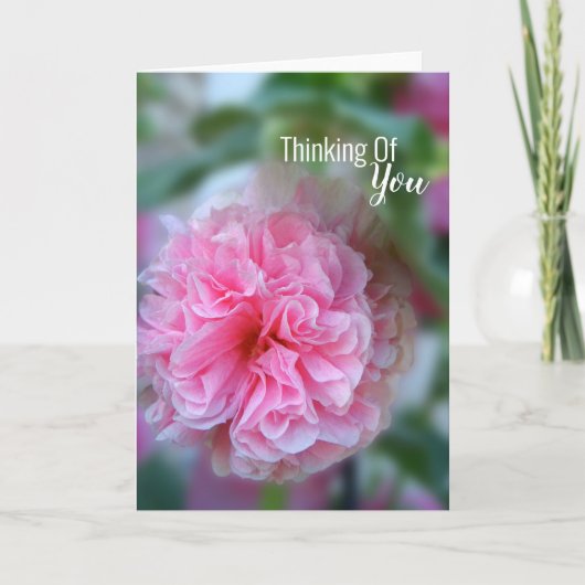 Denken Sie an Hollyhock-Foto Karte (Vorderseite)