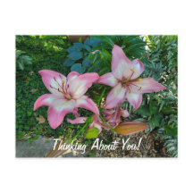 Denken Sie an Hübsche Pink Lilies