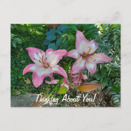 Denken Sie an Hübsche Pink Lilies Postkarte