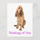 Denken Sie an Ihr Bluthund Hund Gruß Postkarte (Vorderseite)