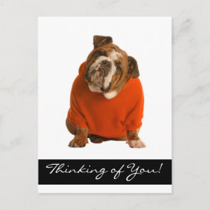 Denken Sie an Ihr Bulldog Puppy Dog Gruß Poscard Postkarte