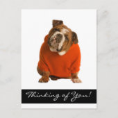 Denken Sie an Ihr Bulldog Puppy Dog Gruß Poscard Postkarte (Vorderseite)