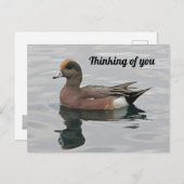 Denken Sie an Ihr Duck Foto Wigeon Calm Lake Postkarte (Vorne/Hinten)
