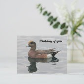 Denken Sie an Ihr Duck Foto Wigeon Calm Lake Postkarte (Stehend Vorderseite)
