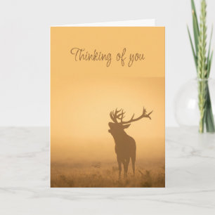 Denken Sie an Ihr Elk Stag Hirsch Morgenlicht Karte