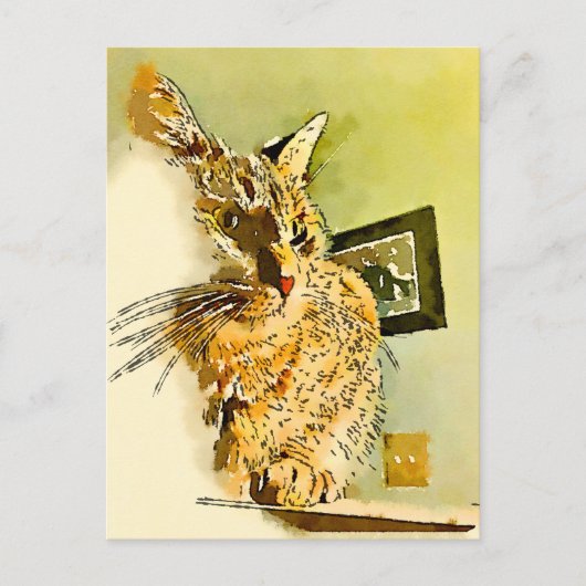 Denken Sie an Ihr Kitty Heart Nose Wasserfarbe Postkarte (Vorderseite)