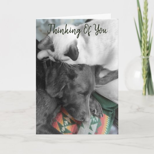 Denken Sie an Ihr Niedliches Kätzchen am Kopf von Karte (Vorderseite)