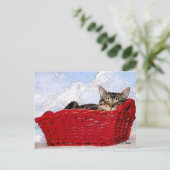 Denken Sie an Ihr Niedliches Schlafen Kitten Red B Postkarte (Stehend Vorderseite)