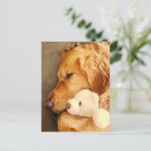 Denken Sie an Ihr Niedliches trauriges Golden Retr Postkarte (Stehend Vorderseite)