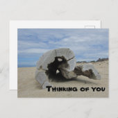 Denken Sie an Ihr Pacific Ocean Beach Driftwood Postkarte (Vorne/Hinten)