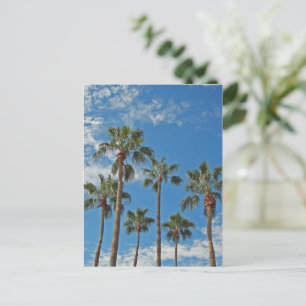Denken Sie an Ihr Palm Trees Blue Sky Paradise Postkarte