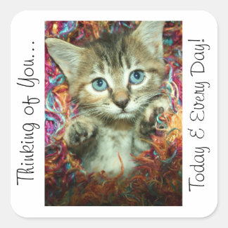 Denken Sie an Ihr Sticker Kitten