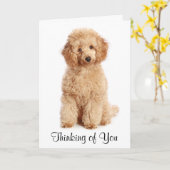 Denken Sie an Ihre Apricot Poodle Puppy Dog Card Karte (Gelbe Blume)