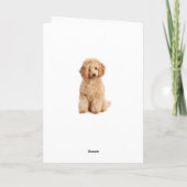 Denken Sie an Ihre Apricot Poodle Puppy Dog Card Karte (Rückseite)