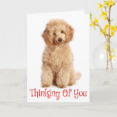 Denken Sie an Ihre Apricot Poodle Puppy Dog Card Karte (Gelbe Blume)