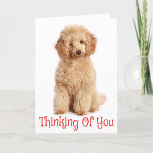 Denken Sie an Ihre Apricot Poodle Puppy Dog Card Karte