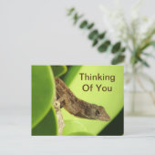 Denken Sie an Ihre Blätter Reptile Gecko Freundsch Postkarte (Stehend Vorderseite)