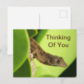 Denken Sie an Ihre Blätter Reptile Gecko Freundsch Postkarte (Vorne/Hinten)