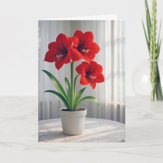 Denken Sie an Ihre blühende rote Amaryllis Karte (Vorderseite)