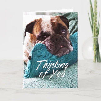 Denken Sie an Ihre Bulldog Foto Sympathy Card Dankeskarte