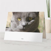 Denken Sie an Ihre Cat Card Karte (Rückseite)