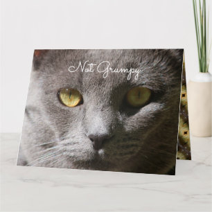 Denken Sie an Ihre Cat Card Karte