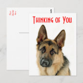 Denken Sie an Ihre deutsche Schäferhündin-Postkart Postkarte (Vorne/Hinten)