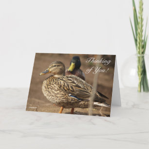 Denken Sie an Ihre Enten Karte